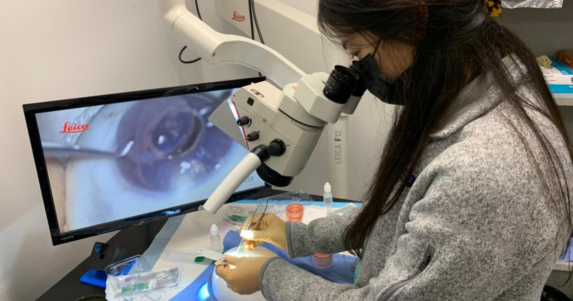 resident physcian practicing during a wet lab
